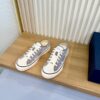 Dior Grey Oblique Canvas Low Sneaker