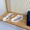 Dior Grey Oblique Canvas Low Sneaker
