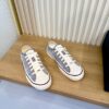 Dior Grey Oblique Canvas Low Sneaker
