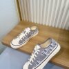 Dior Grey Oblique Canvas Low Sneaker