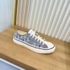 Dior Grey Oblique Canvas Low Sneaker