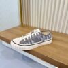 Dior Grey Oblique Canvas Low Sneaker
