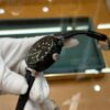 sy_no_C8FD8C142233649712F6A58AB496E06F_4 LOUIS VUITTON TABOUR series watches with automatic mechanical movement, rubber strap, men's watch, 100 meter waterproof