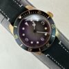 TUDOR Blue Bay series automatic mechanical movement with luminous, large three pin, waterproof men's watch and Swiss watch