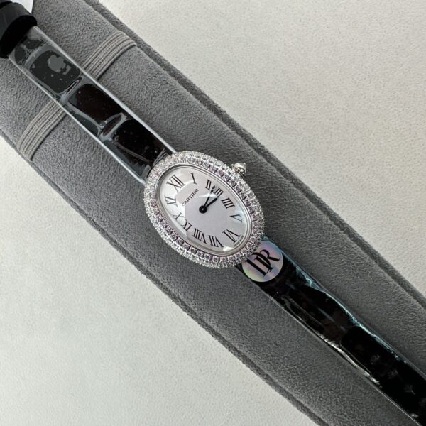 Patek Philippe Sport Elegance NAUTILUS Series Nautilus Automatic Mechanical Movement