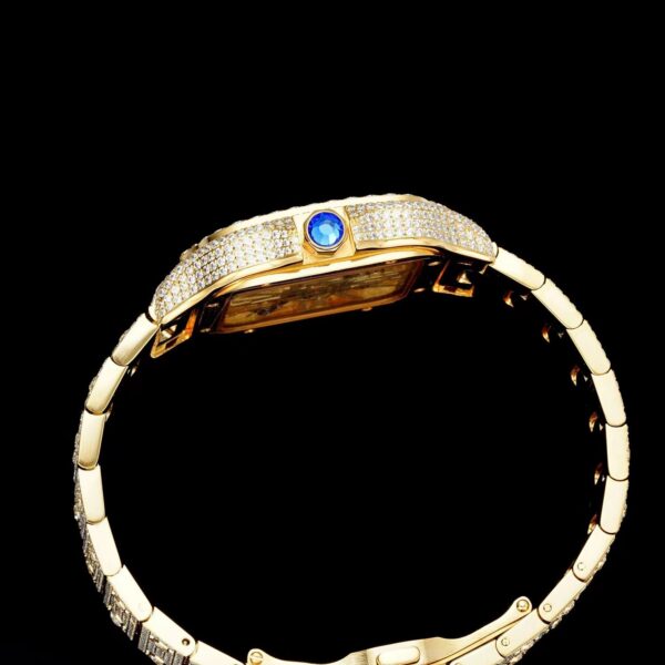 New SiC Factory Cartier Sandus Zhenmosan Diamond