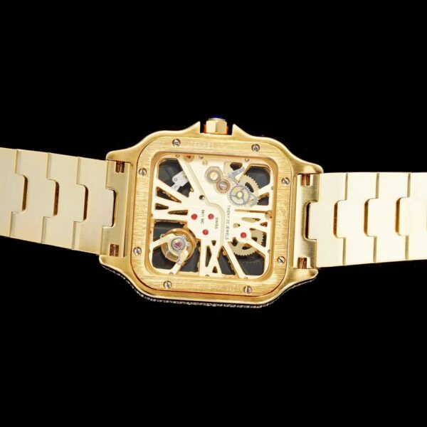 New SiC Factory Cartier Sandus Zhenmosan Diamond