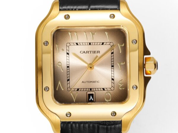 Cartier Shandushi series manual mechanical movement 30 meter waterproof men's watch Swiss watch
