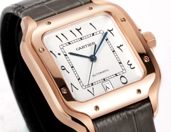 Cartier Shandushi series manual mechanical movement 30 meter waterproof men's watch Swiss watch