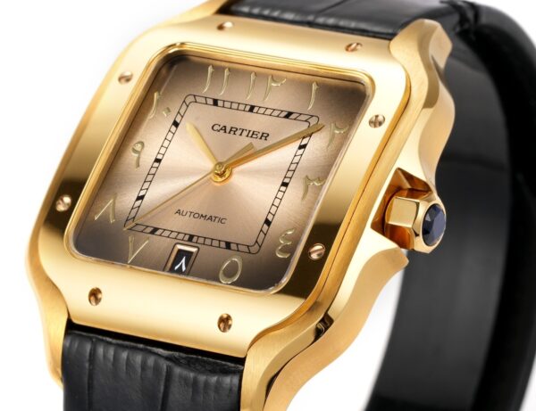 Cartier Shandushi series manual mechanical movement 30 meter waterproof men's watch Swiss watch