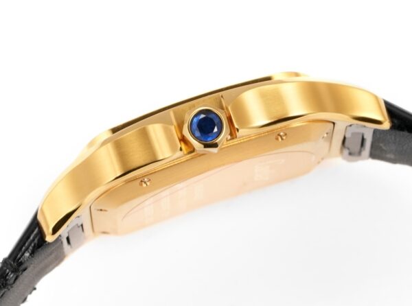 Cartier Shandushi series manual mechanical movement 30 meter waterproof men's watch Swiss watch